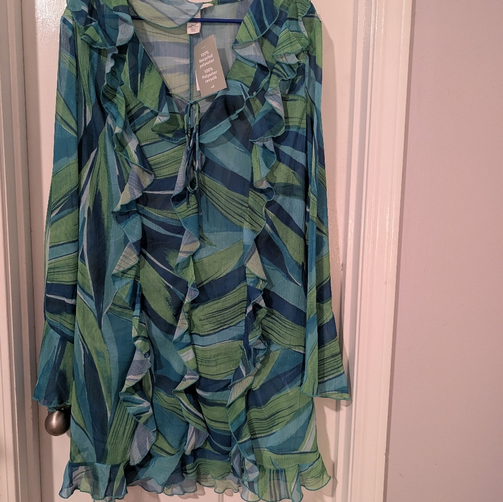 H&M Ruffled Sheer Dress - Picture 6 of 6